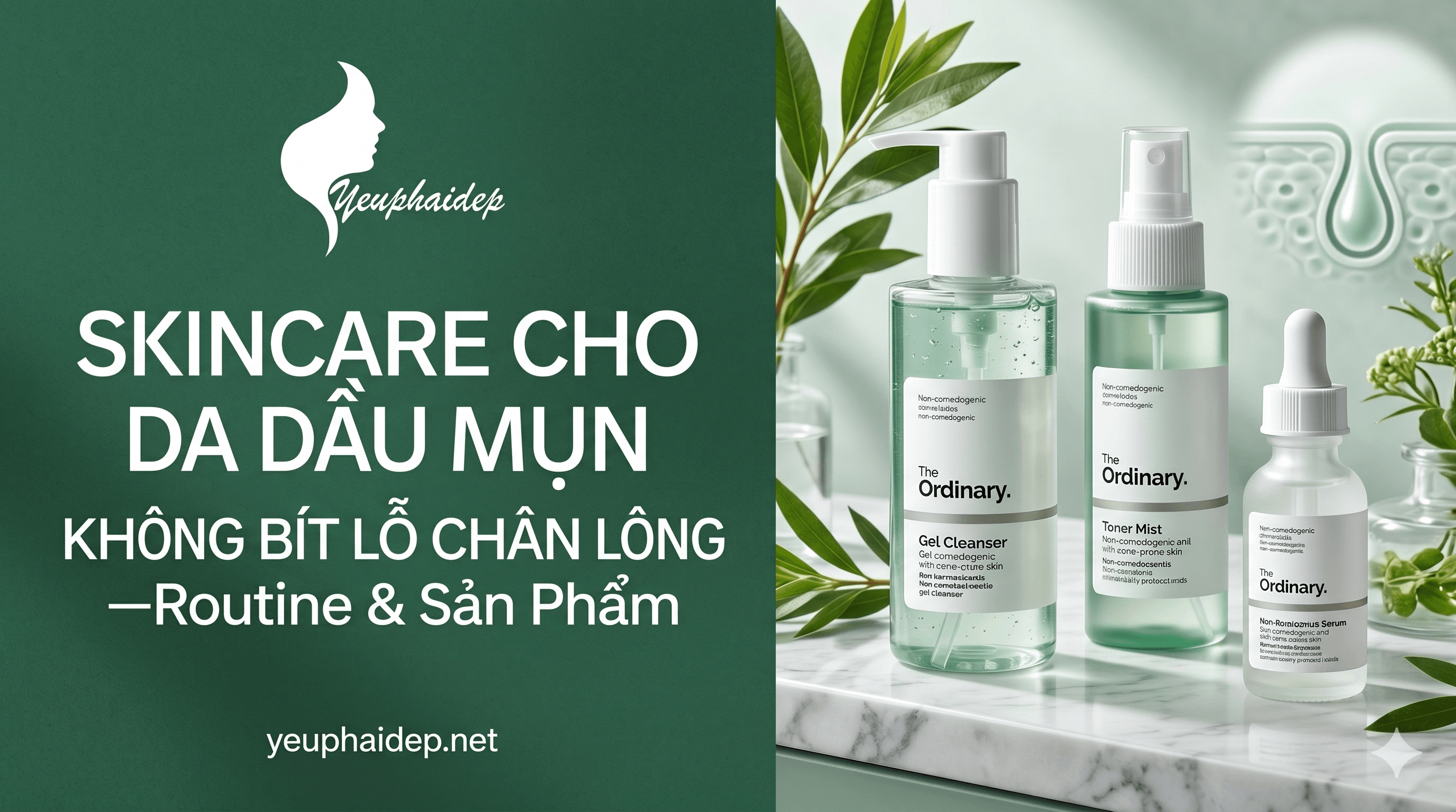Skincare Cho Da Dầu Mụn Không Bít Lỗ Chân Lông — Routine & Sản Phẩm