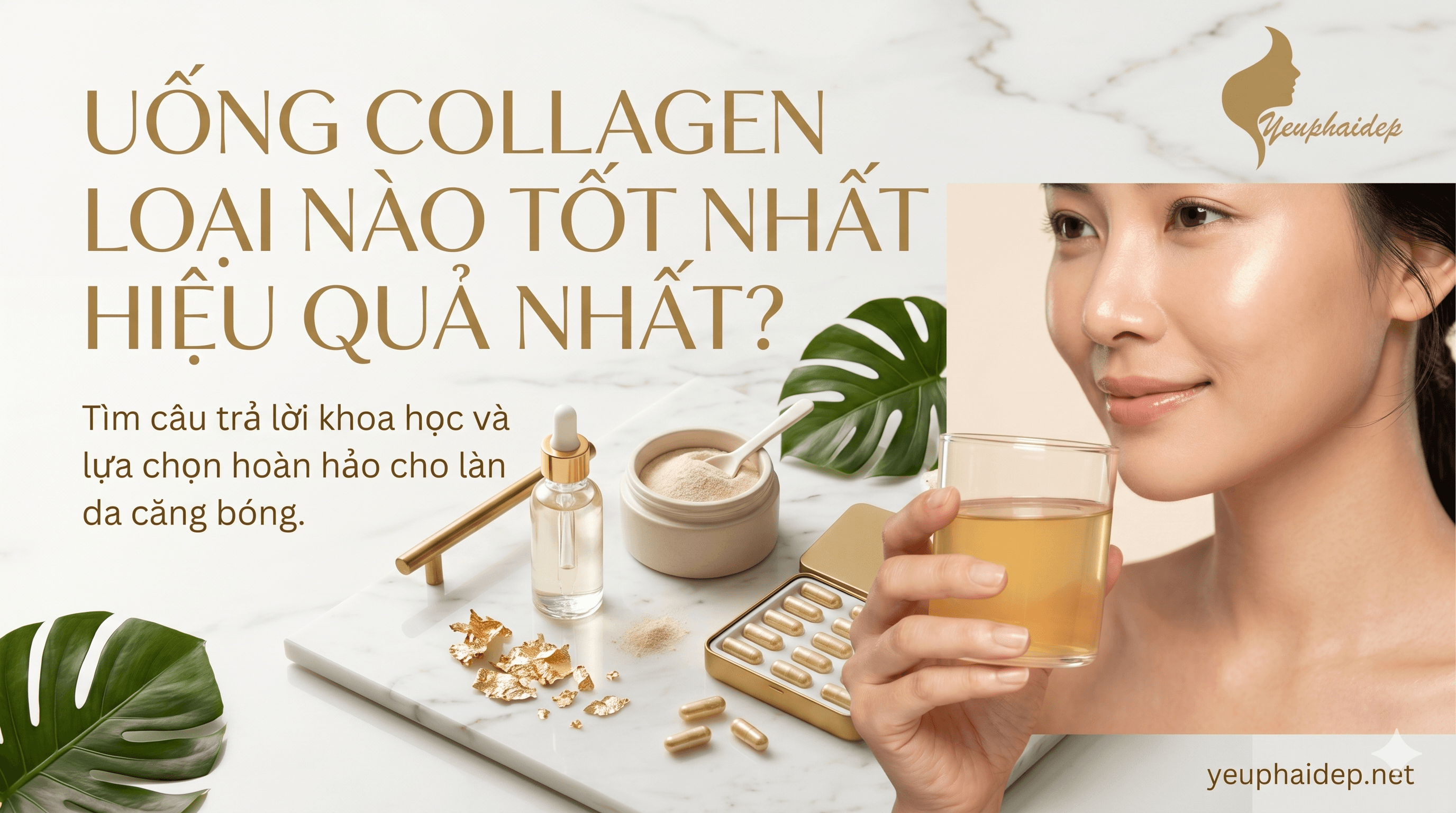 Uống Collagen Loại Nào Tốt Nhất? So Sánh Marine, Bovine & Các Loại