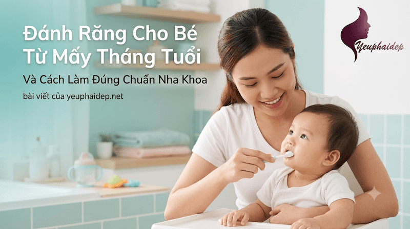 Đánh Răng Cho Bé Từ Mấy Tháng Tuổi Và Cách Làm Đúng Chuẩn Nha Khoa
