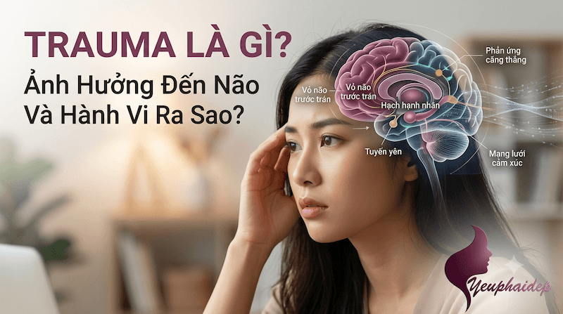 Trauma Là Gì? Ảnh Hưởng Đến Não Và Hành Vi Ra Sao?
