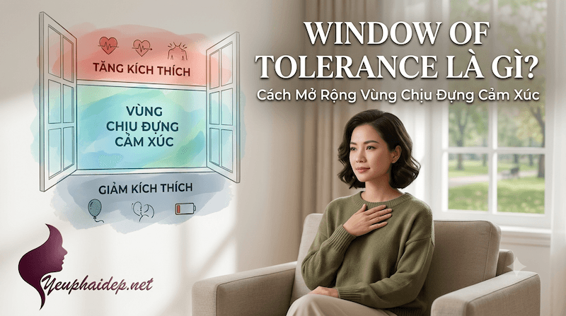 Window Of Tolerance Là Gì? Cách Mở Rộng Vùng Chịu Đựng Cảm Xúc
