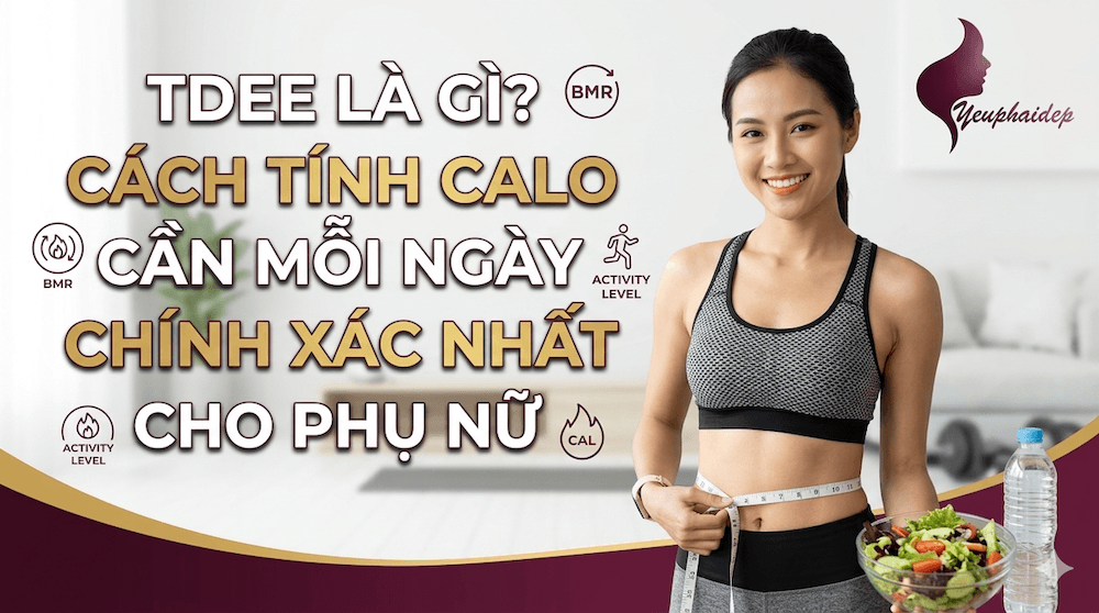 TDEE Là Gì? Cách Tính Calo Cần Mỗi Ngày Chính Xác Nhất Cho Phụ Nữ
