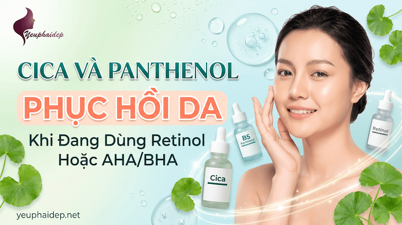 Cica Và Panthenol: Phục Hồi Da Khi Đang Dùng Retinol Hoặc AHA/BHA