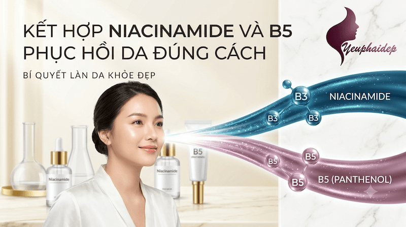 Kết Hợp Niacinamide Và B5 Phục Hồi Da Đúng Cách