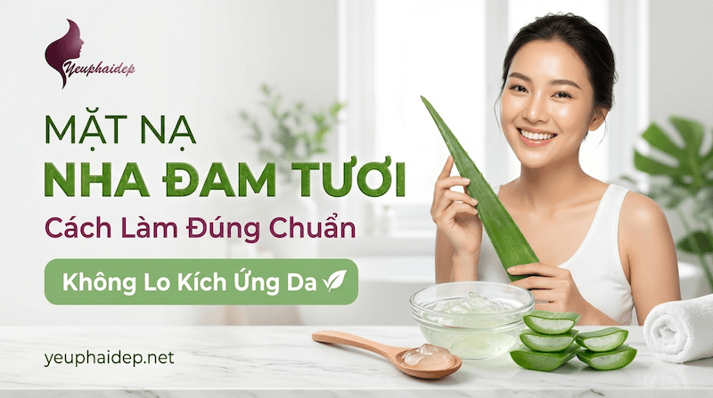 Mặt Nạ Nha Đam Tươi: Cách Làm Đúng Chuẩn, Không Lo Kích Ứng Da