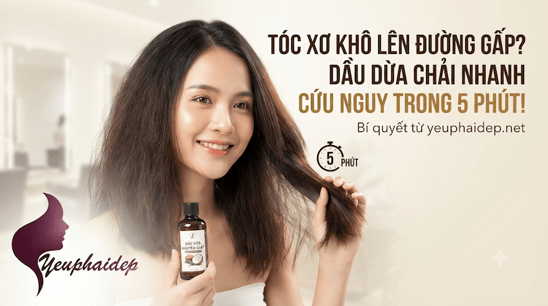 Tóc Xơ Khô Lên Đường Gấp? Dầu Dừa Chải Nhanh Cứu Nguy Trong 5 Phút