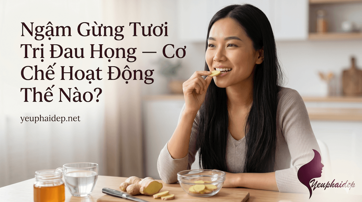 Ngậm Gừng Tươi Trị Đau Họng — Cơ Chế Hoạt Động Thế Nào?