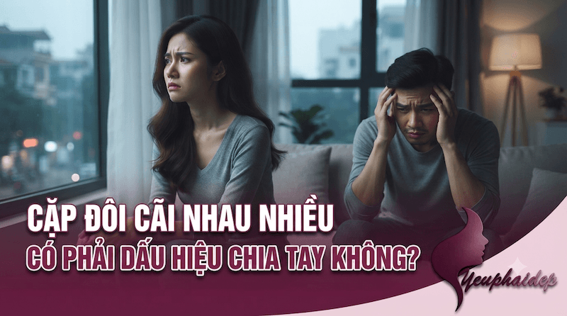 Cặp Đôi Cãi Nhau Nhiều Có Phải Dấu Hiệu Chia Tay Không?