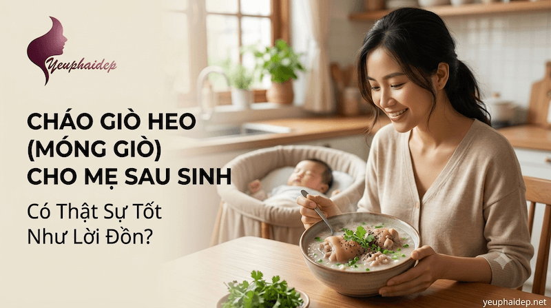 Cháo Giò Heo (Móng Giò) Cho Mẹ Sau Sinh Có Thật Sự Tốt Như Lời Đồn?