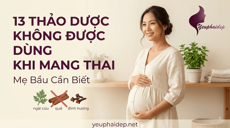 13 Thảo Dược Không Được Dùng Khi Mang Thai, Mẹ Bầu Cần Biết