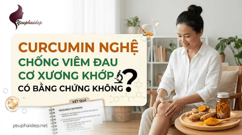 Curcumin Nghệ Chống Viêm Đau Cơ Xương Khớp Có Bằng Chứng Không?