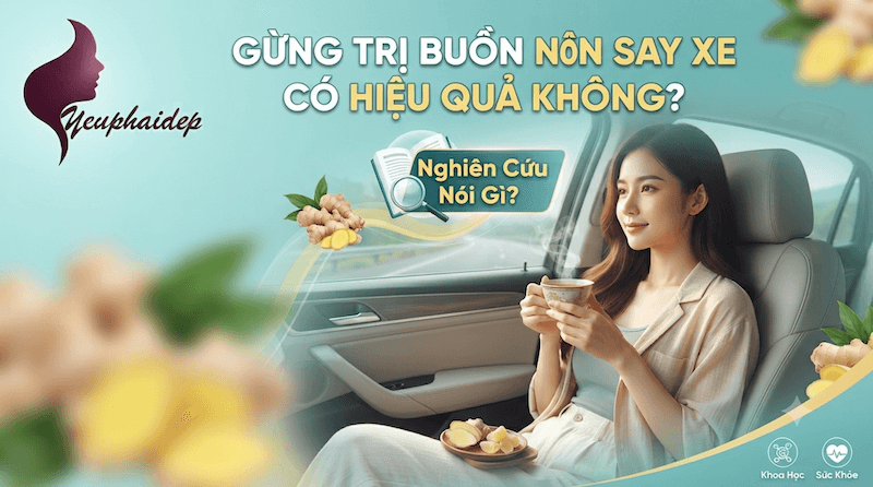 Gừng Trị Buồn Nôn Say Xe Có Hiệu Quả Không? Nghiên Cứu Nói Gì?