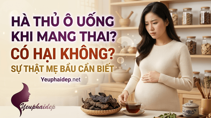 Hà Thủ Ô Uống Khi Mang Thai Có Hại Không? Sự Thật Mẹ Bầu Cần Biết
