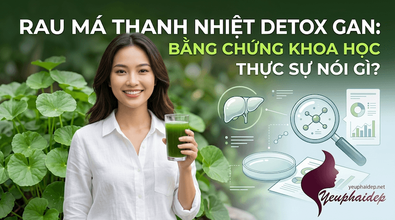 Rau Má Thanh Nhiệt Detox Gan: Bằng Chứng Khoa Học Thực Sự Nói Gì?