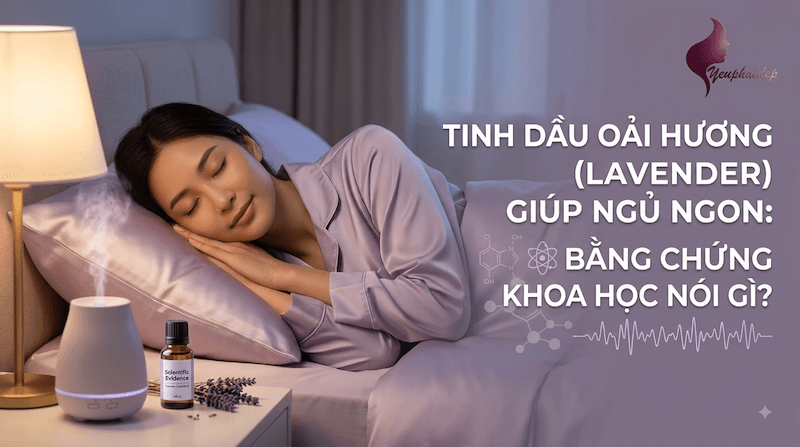 Tinh Dầu Oải Hương (Lavender) Giúp Ngủ Ngon: Bằng Chứng Khoa Học Nói Gì?