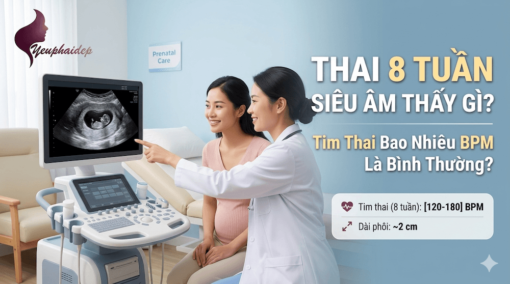 Thai 8 Tuần Siêu Âm Thấy Gì? Tim Thai Bao Nhiêu BPM Là Bình Thường?